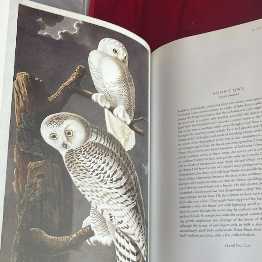 Books On Flowers And Birds - image 10 of 12