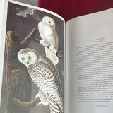 Books On Flowers And Birds - thumbnail 10 of 12