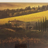 Andrea Rontini Photography Art Radda In Chianti - thumbnail 7 of 9