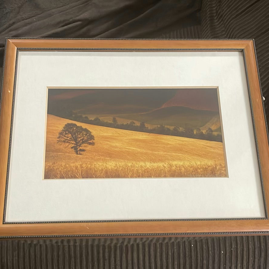 Andrea Rontini Photography Art Lone Tree - image 1 of 10