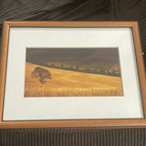 Andrea Rontini Photography Art Lone Tree - thumbnail 1 of 10