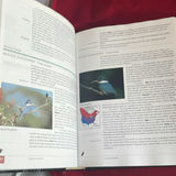 Books On Flowers And Birds - thumbnail 12 of 12