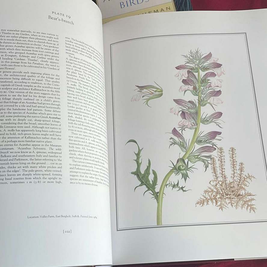 Books On Flowers And Birds - image 3 of 12