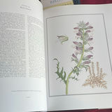 Books On Flowers And Birds - thumbnail 3 of 12