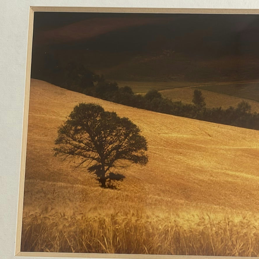 Andrea Rontini Photography Art Lone Tree - image 8 of 10