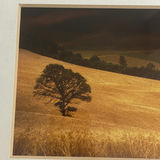 Andrea Rontini Photography Art Lone Tree - thumbnail 8 of 10