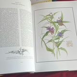Books On Flowers And Birds - thumbnail 4 of 12