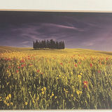 Andrea Rontini Fine Art Framed Photography - thumbnail 4 of 8