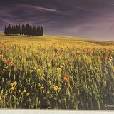 Andrea Rontini Fine Art Framed Photography - thumbnail 7 of 8