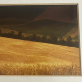 Andrea Rontini Photography Art Lone Tree - thumbnail 9 of 10