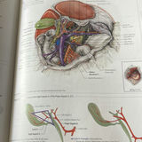 Atlas Of Human Anatomy - thumbnail 4 of 5