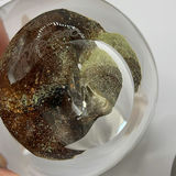 3 Paperweights-Karl Schantz, Andrew Kuntz And Belanger - thumbnail 6 of 16
