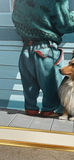 Daniel Plante 1991 Oil Painting “Gabriel & Riki” - thumbnail 8 of 13