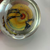 3 Paperweights-Karl Schantz, Andrew Kuntz And Belanger - thumbnail 16 of 16