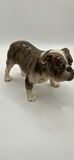 Royal Doulton HN1047 Bulldog - thumbnail 3 of 6