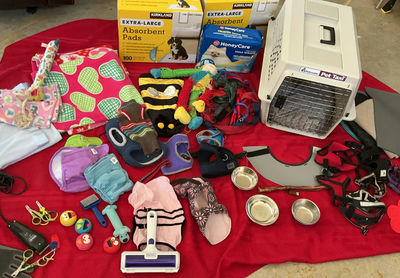 Big Lot For A Small dog(s) - Image 1 of 14