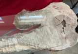 Driftwood Table, Art - thumbnail 5 of 6