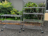 Two Stainless Steel rolling racks - thumbnail 1 of 3