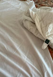 Floral King Sized Comforter, Bedskirt And Mattress Cover - thumbnail 4 of 6