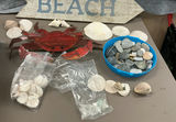 Day At The Bench - thumbnail 1 of 5