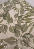 Pottery Barn Throw Pillows With Cozy Throw Blankets - thumbnail 3 of 5