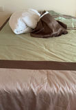King Sized Comforter And More - thumbnail 1 of 5
