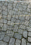 Precision Portable Dog Pens - thumbnail 3 of 5