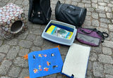 Cat care items bundle: carriers, litter box, litter, cat house, and mats - thumbnail 1 of 8
