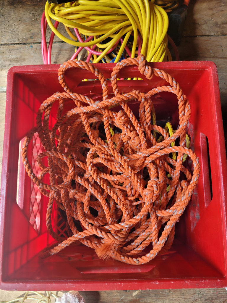 Assorted Extension Cords and Electrical Cables - image 4 of 14