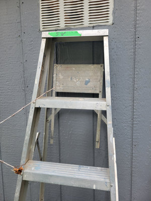 Metal Step Ladder - Image 1 of 2
