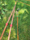 Set of Wooden Cross-Country Skis, Poles, and Snowshoes - thumbnail 3 of 4