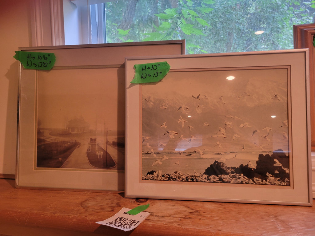 Framed Photographic Prints - image 1 of 1