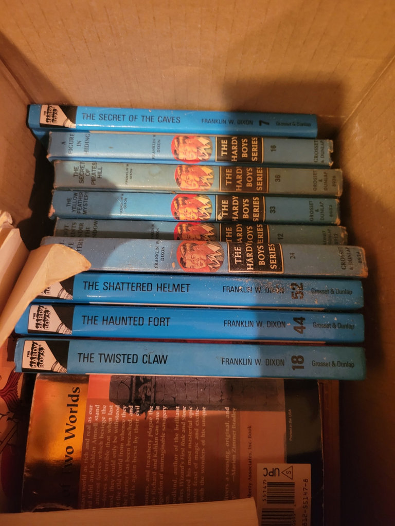 Assorted Books Including The Hardy Boys Series - image 1 of 4