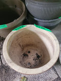 Collection of Various Planters - thumbnail 5 of 11