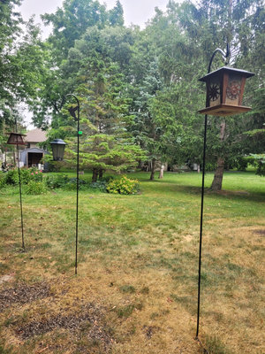 Outdoor Metal Bird Feeders with Stands x3  - Image 1 of 9