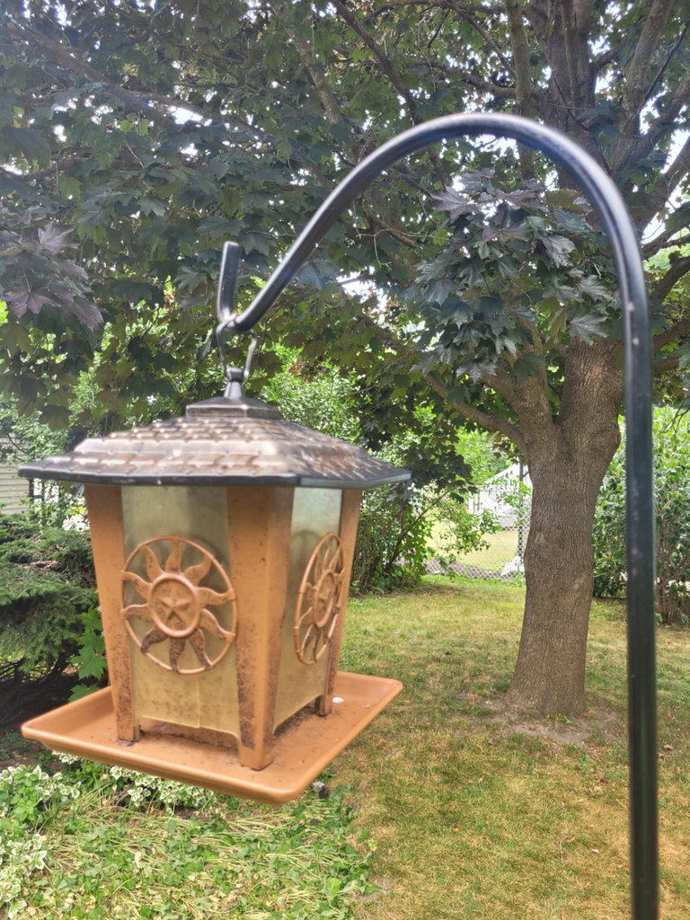 Outdoor Metal Bird Feeders with Stands x3  - image 3 of 9