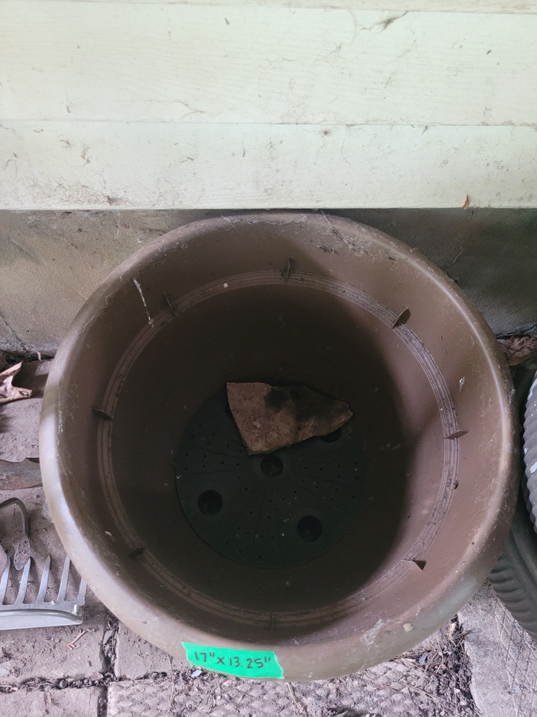 Collection of Various Planters - image 7 of 11
