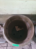 Collection of Various Planters - thumbnail 7 of 11