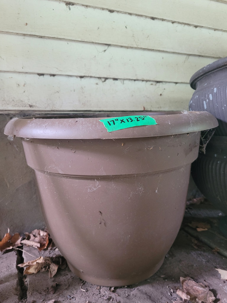 Collection of Various Planters - image 6 of 11