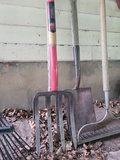 Collection of Garden Tools - thumbnail 9 of 16