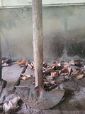 Collection of Garden Tools - thumbnail 2 of 16