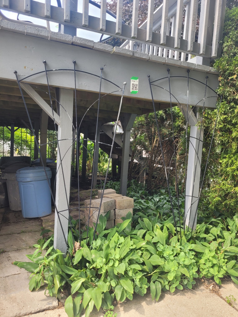 Black Metal Garden Trellis x2 - image 1 of 7
