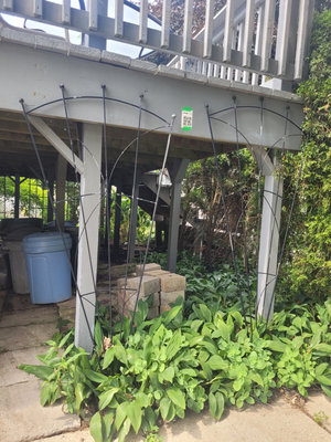 Black Metal Garden Trellis x2 - Image 1 of 7