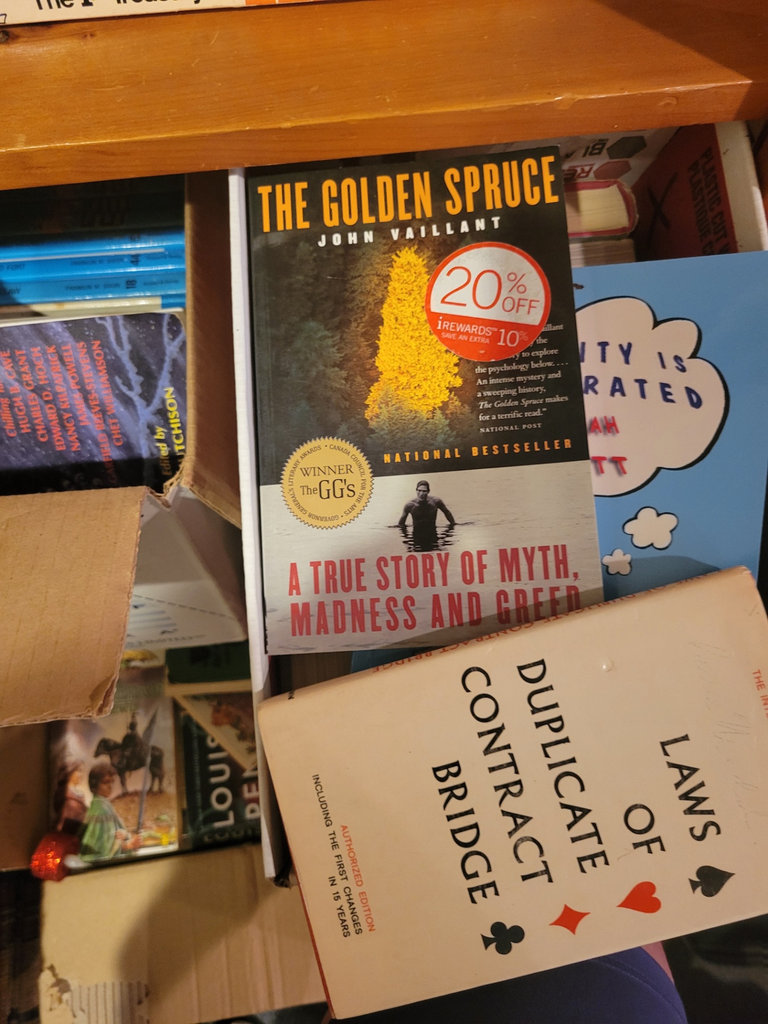 Assorted Books Including The Hardy Boys Series - image 4 of 4