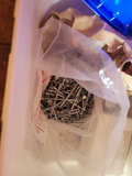 Assorted Garden Tools, Nails, Fertilizer, and Decorative Items - thumbnail 3 of 22