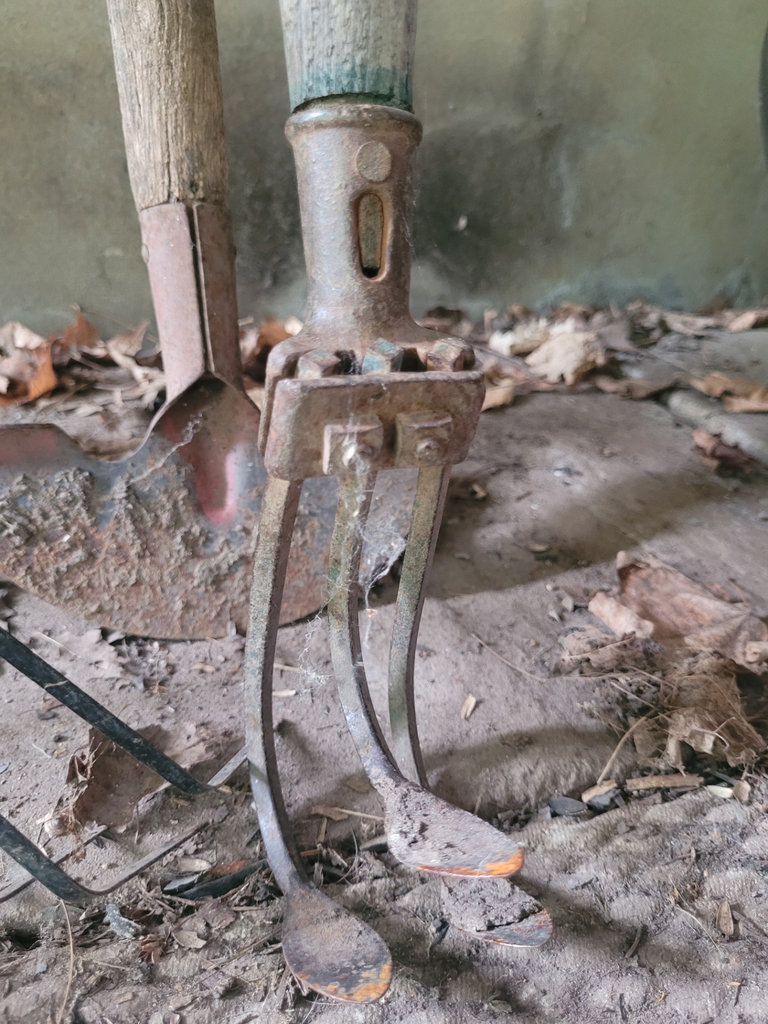 Collection of Garden Tools - image 4 of 16