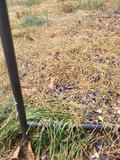 Outdoor Metal Bird Feeders with Stands x3  - thumbnail 7 of 9