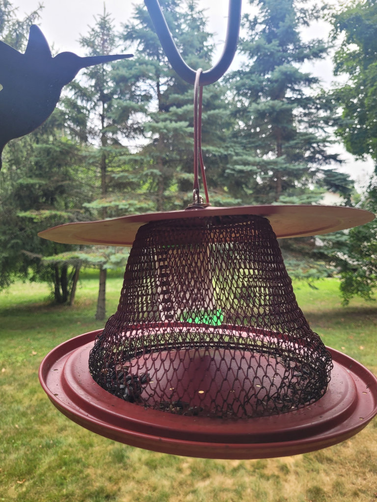Outdoor Metal Bird Feeders with Stands x3  - image 8 of 9