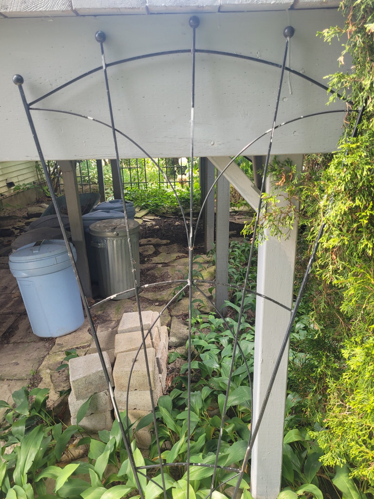 Black Metal Garden Trellis x2 - image 5 of 7