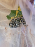 Assorted Garden Tools, Nails, Fertilizer, and Decorative Items - thumbnail 2 of 22